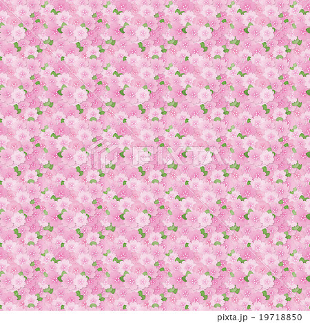綺麗和風のかわいい桜のイラスト総柄 シームレス 連続 繰り返し パターン お花見 春素材 背景のイラスト素材