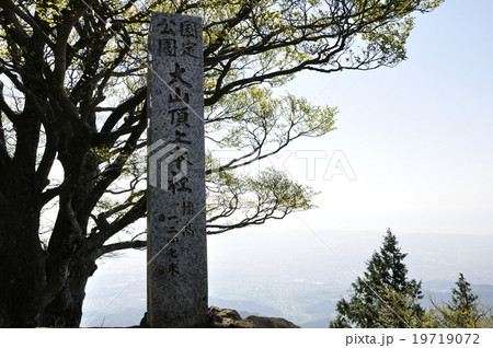 丹沢 大山山頂 19719072