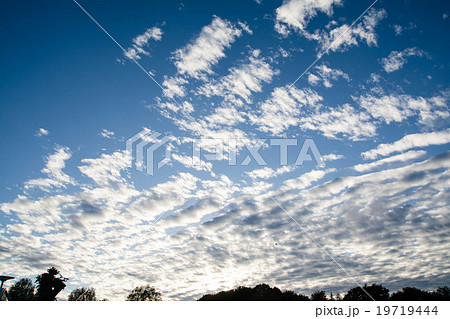 青空に広がるうろこ雲 19719444