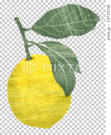 Lemon (with leaves) Lemon (with leaves) 19719786