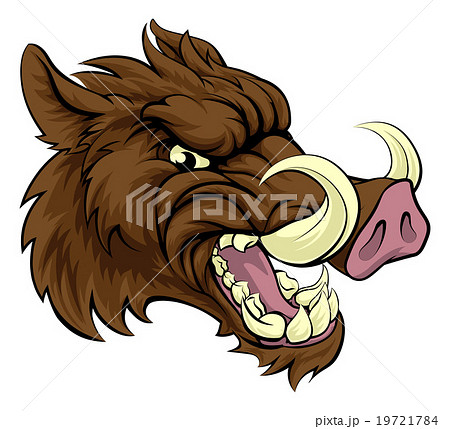 Boar Sports Mascot Boar Sports Mascot 19721784