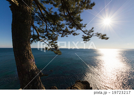 高知県高知市　桂浜　竜王岬 19723217