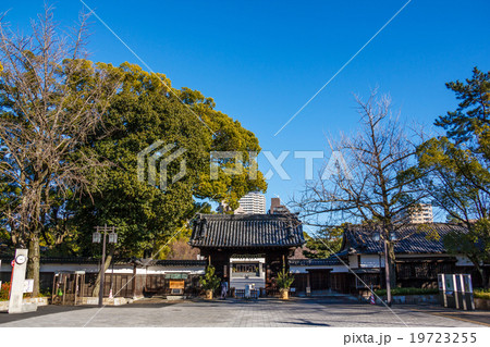 徳川園黒門　正月 19723255