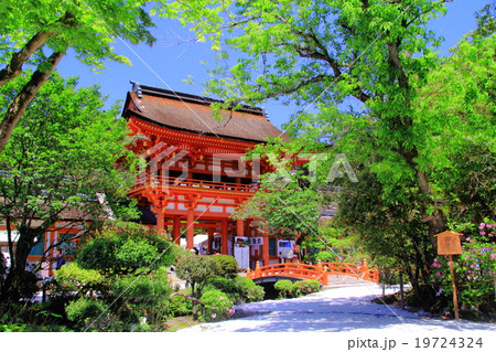 新緑の上賀茂神社(京都 北区) 新緑の上賀茂神社(京都 北区) 19724324