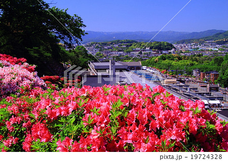 蹴上浄水場 京都 東山 に咲くツツジの写真素材