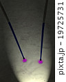 magic light , alpine canes on snow. 19725731