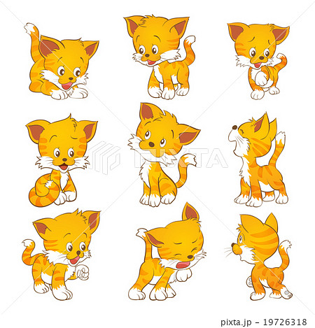 cute yellow cat 19726318