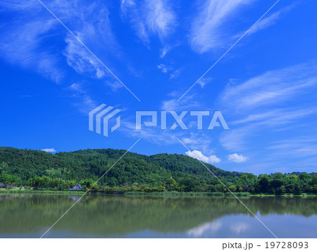 広沢池 19728093