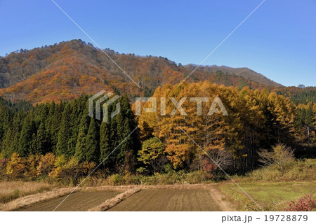 晩秋の田園風景 晩秋の田園風景 19728879