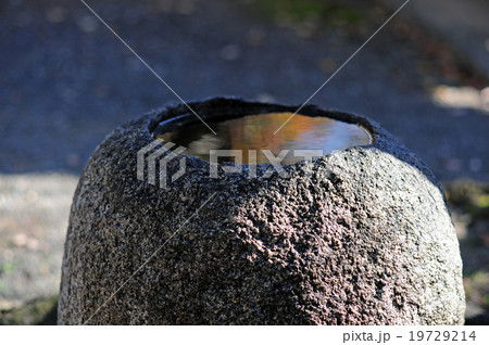 手水鉢-103 19729214