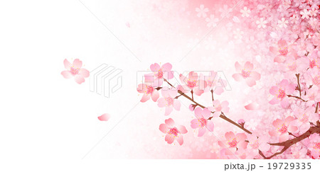 桜 春 風景 背景 のイラスト素材