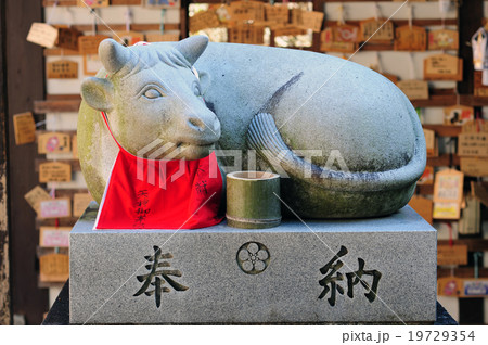 上宮天満宮の撫で牛-2 19729354