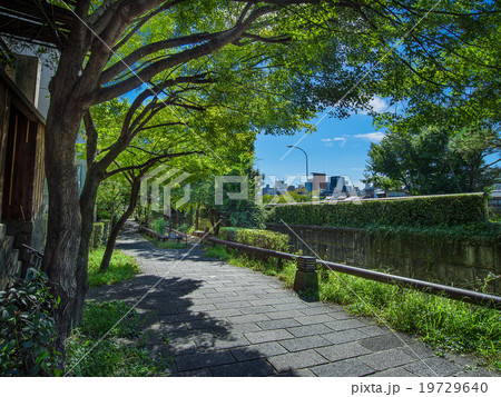 京都 せせらぎの道 京都 せせらぎの道 19729640