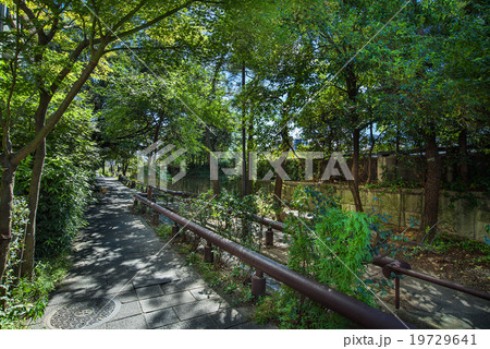 京都 せせらぎの道 京都 せせらぎの道 19729641
