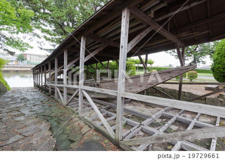 小鵜飼舟 小鵜飼舟 19729661