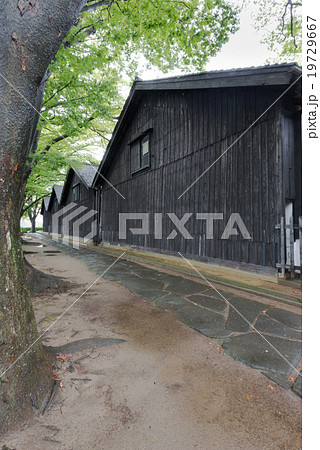 山居倉庫 19729667