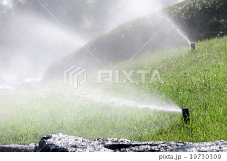 sprinkler head watering the bush and grass 19730309