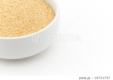 アマランサス:Amaranth 19731747