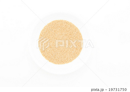 アマランサス:Amaranth 19731750