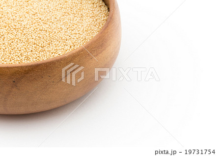 アマランサス:Amaranth 19731754