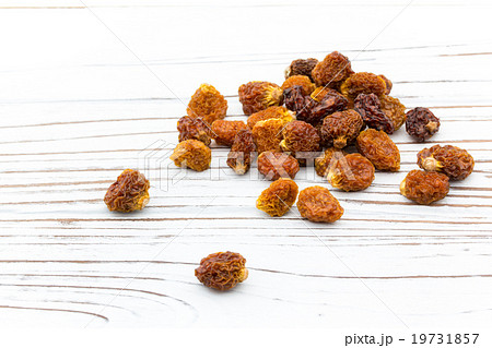 ゴールデンベリー ケープグーズベリー (食用ホオズキ):Goldenberries ゴールデンベリー ケープグーズベリー (食用ホオズキ):Goldenberries 19731857