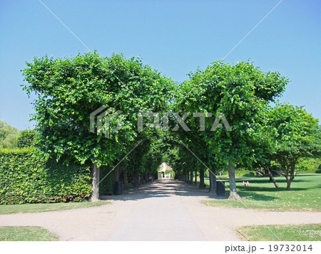 ローゼンボー城 公園 並木道 デンマーク コペンハーゲン ローゼンボー城 公園 並木道 デンマーク コペンハーゲン 19732014