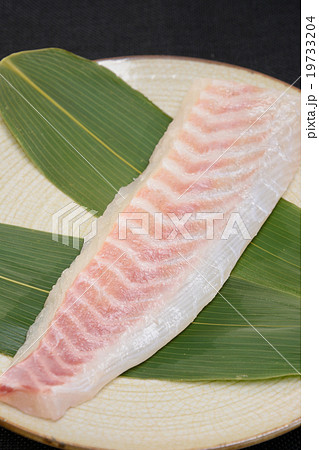 おいしい鯛の刺し身 おいしい鯛の刺し身 19733204