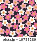 和柄　桜　千代紙風　シームレスパターン　黒 19733289