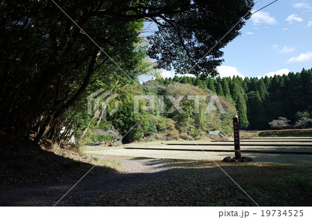 斎田_霧島神宮 斎田_霧島神宮 19734525