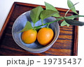 金柑 19735437