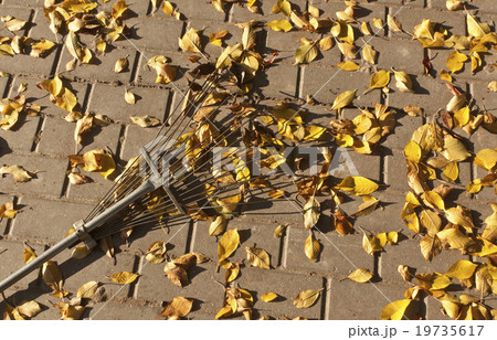 Fallen leaves and rake on pavement. 19735617