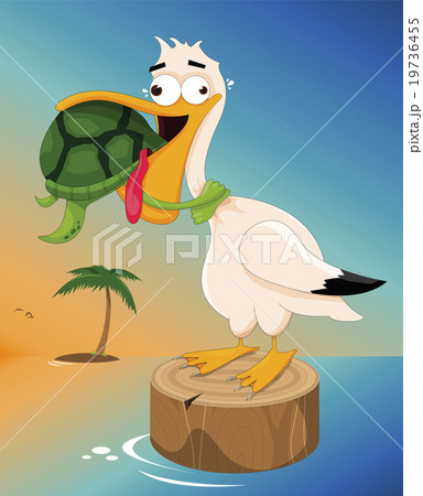 Sea Turtle Choking a Pelican Sea Turtle Choking a Pelican 19736455