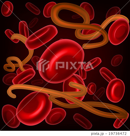 Ebola and Blood Cells Ebola and Blood Cells 19736472