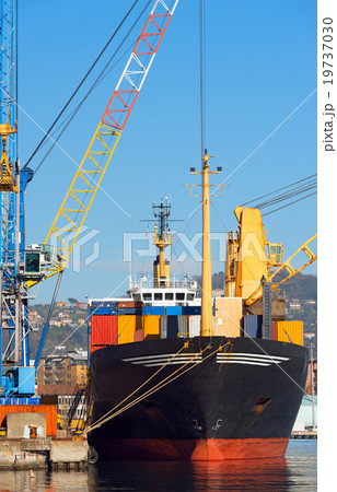 Container Ship in the Harbor Container Ship in the Harbor 19737030