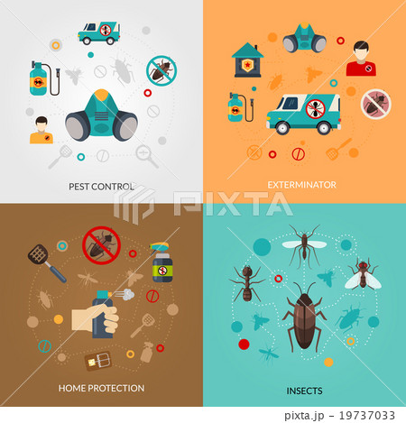 Exterminator Pest Contro 4 Flat Icons 19737033