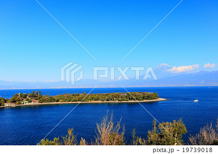 大瀬崎と富士山 19739018