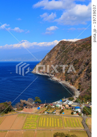 煌めきの丘からの富士山 19739037