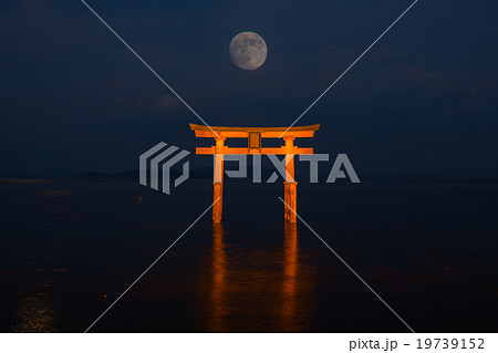 torii gate on water 19739152