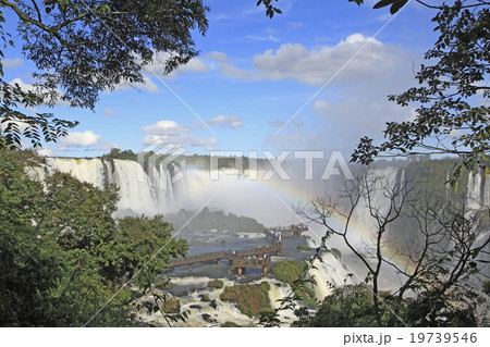 イグアスの滝 ブラジル イグアスの滝 ブラジル 19739546