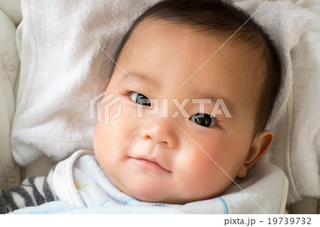 5 months old 19739732