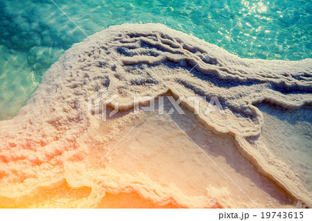 Texture of Dead sea. Salt sea shore 19743615