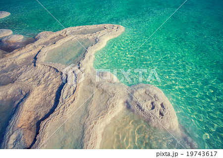 Texture of Dead sea. Salt sea shore Texture of Dead sea. Salt sea shore 19743617