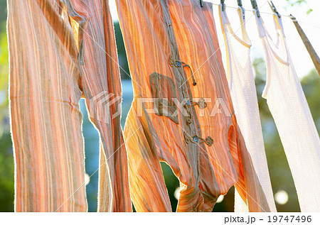 underwear drying on the clothesline underwear drying on the clothesline 19747496