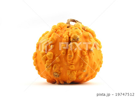 yellow squash with pimples yellow squash with pimples 19747512