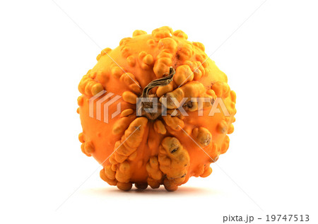 yellow squash with pimples yellow squash with pimples 19747513