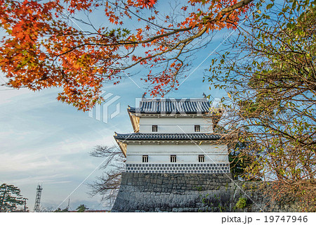 新発田城秋景色 19747946