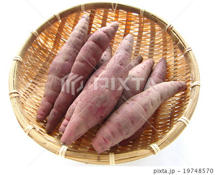 いもジェンヌ (さつまいも) いもジェンヌ (さつまいも) 19748570