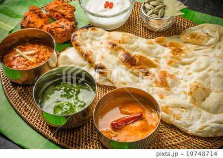典型的なインドのカレーとナン Typical Indian curry set 19748714