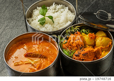 典型的なインドのカレー弁当　 Indian curry and chicken lunch 19748716