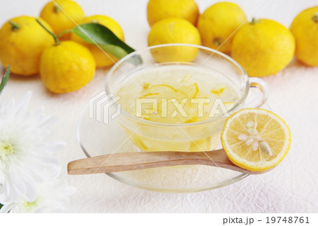 柚子茶 19748761